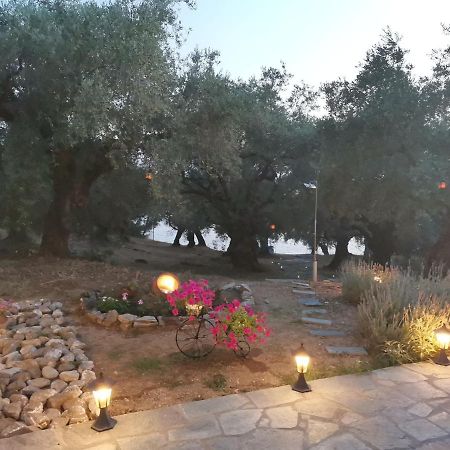 Christie'S Ground Floor Apartment By The Sea كاتو جاتزي المظهر الخارجي الصورة