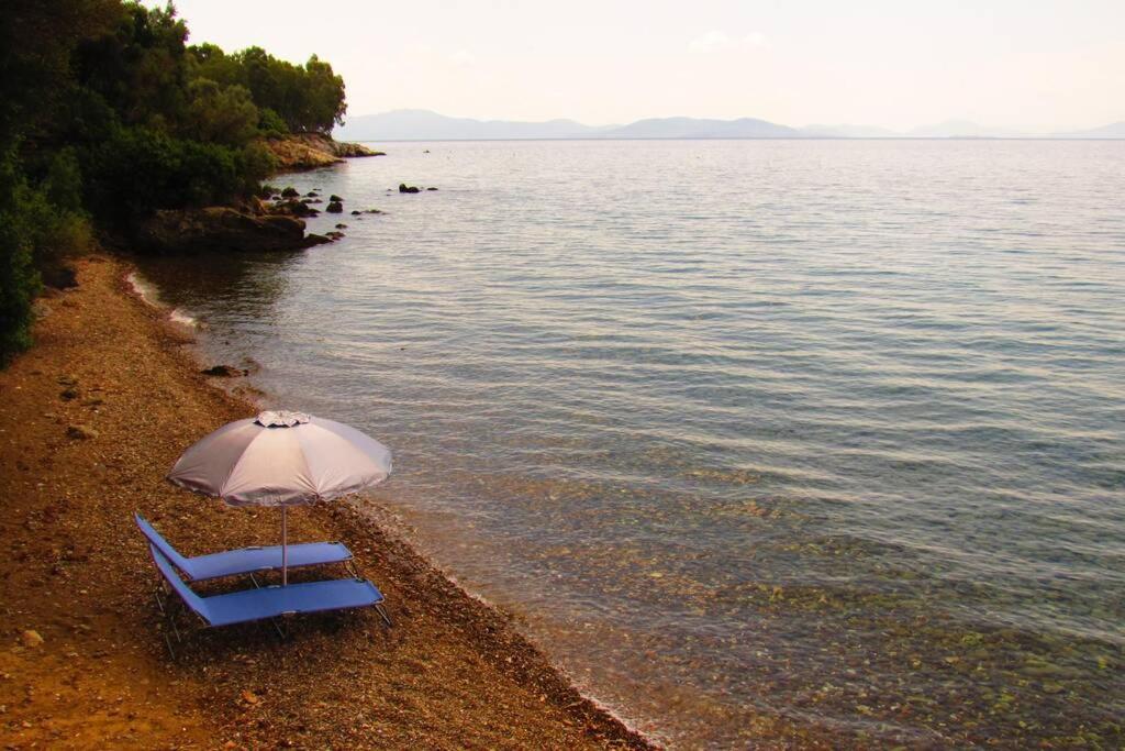 Christie'S Ground Floor Apartment By The Sea كاتو جاتزي المظهر الخارجي الصورة