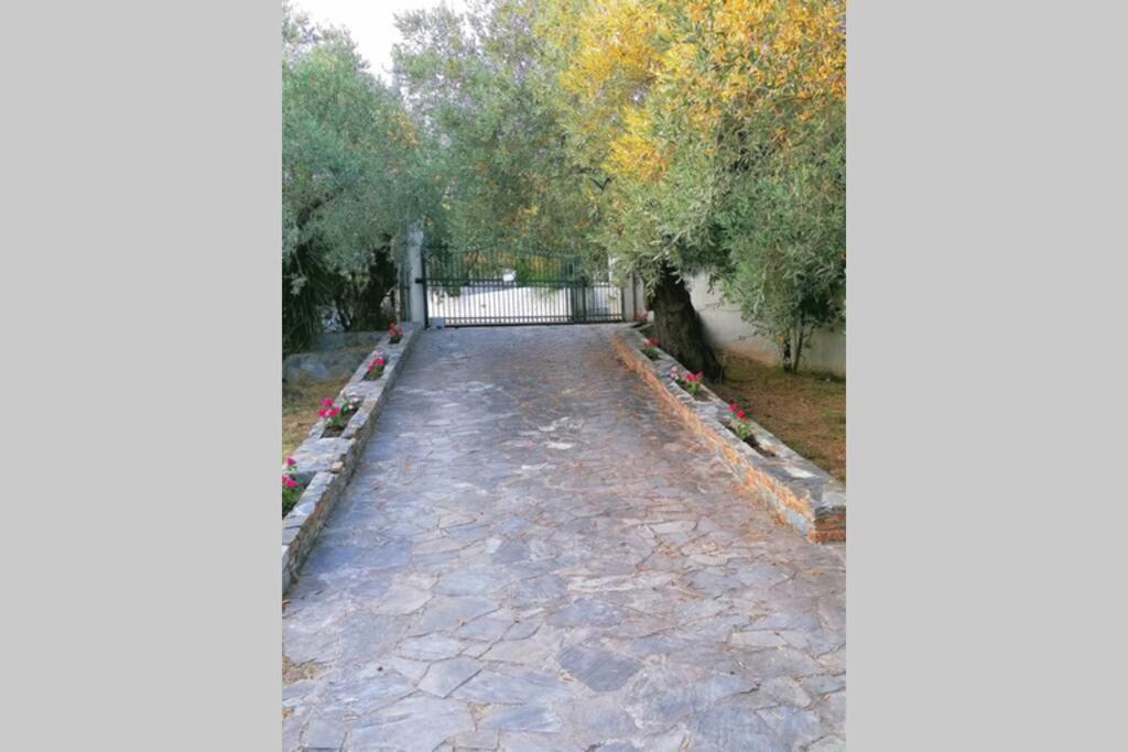 Christie'S Ground Floor Apartment By The Sea كاتو جاتزي المظهر الخارجي الصورة