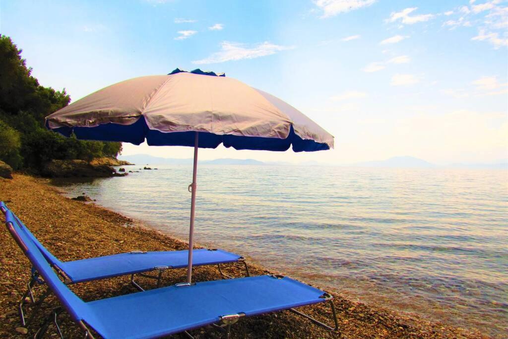 Christie'S Ground Floor Apartment By The Sea كاتو جاتزي المظهر الخارجي الصورة