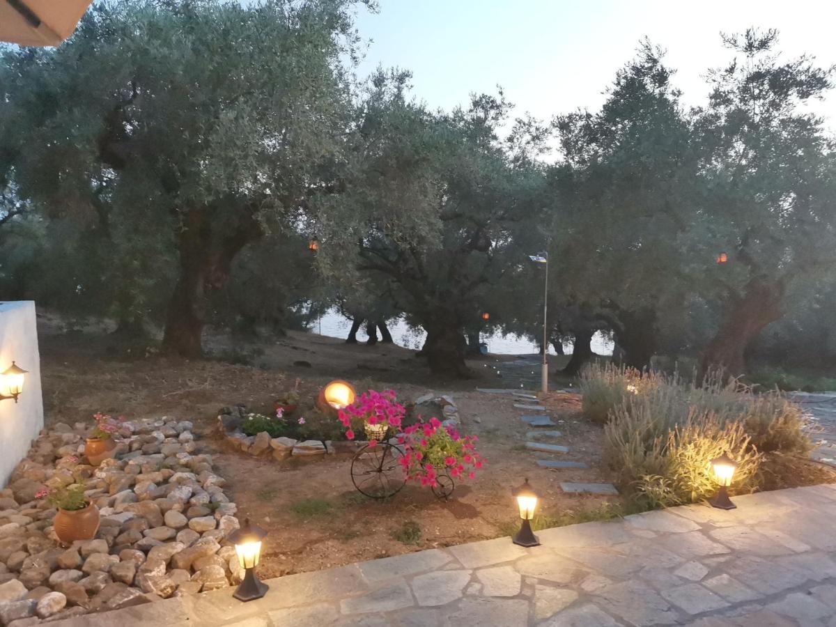 Christie'S Ground Floor Apartment By The Sea كاتو جاتزي المظهر الخارجي الصورة